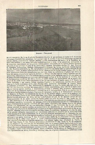 LAMINA ESPASA 16372: Vista de Estepona Vizcaya