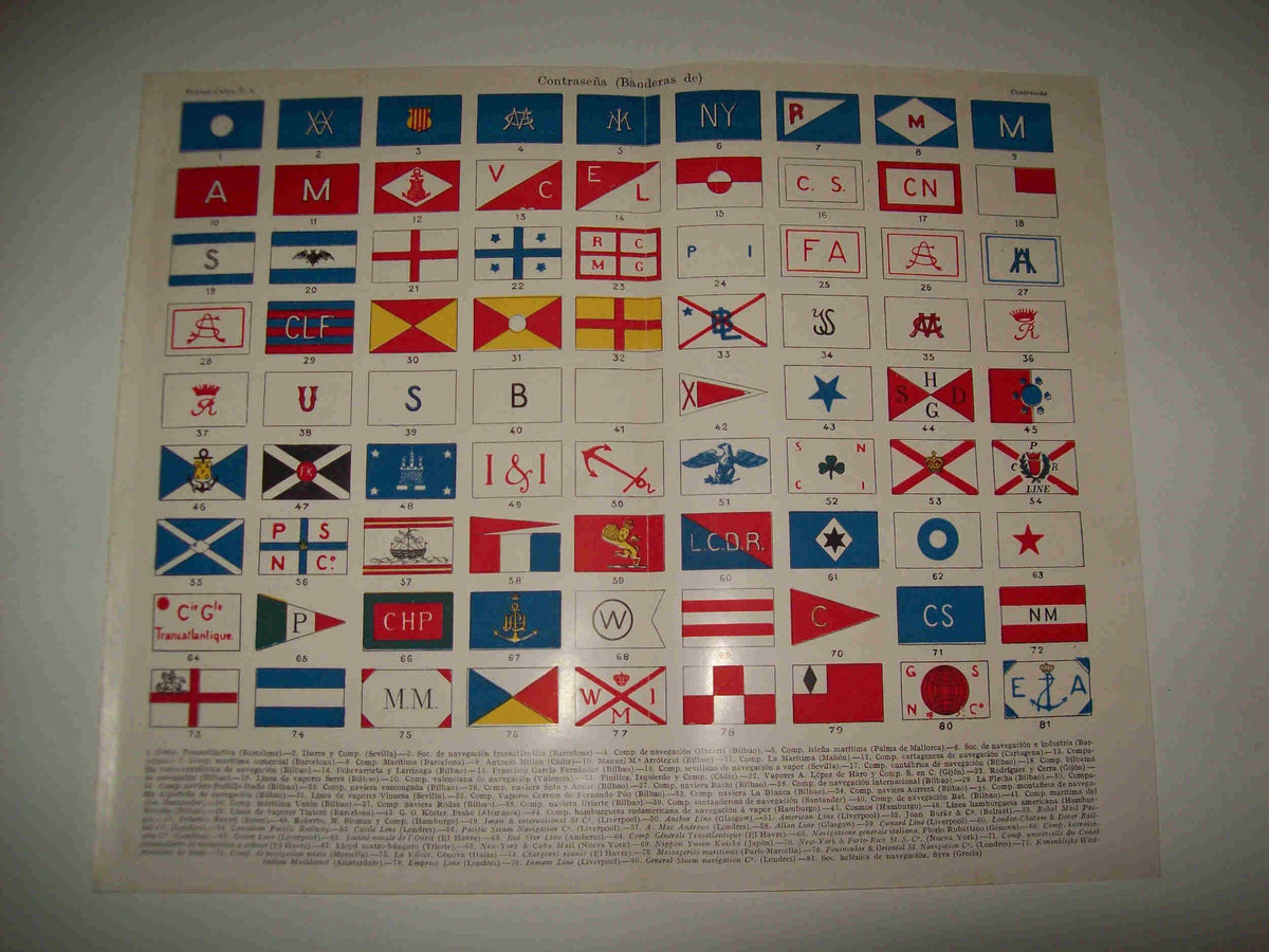 LAMINA ESPASA 20601: Banderas de contraseña