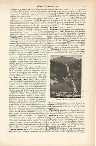 LAMINA ESPASA 10395: Estacion y funicular de Murren (Suiza)
