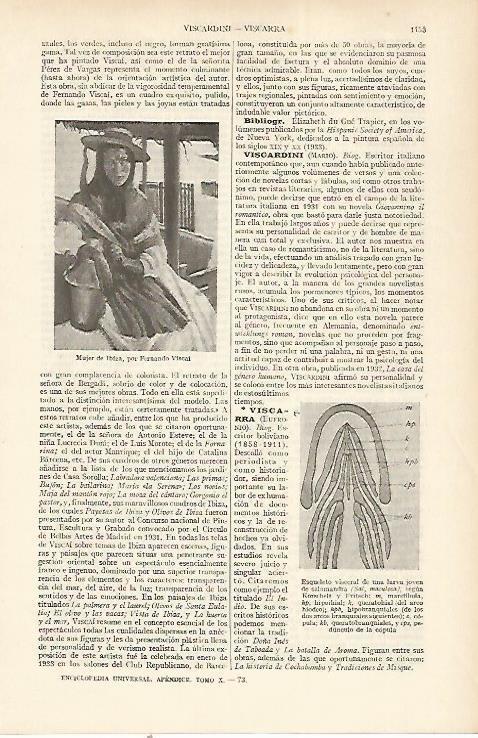 LAMINA ESPASA 22457: Mujer de Ibiza por F. Viscal