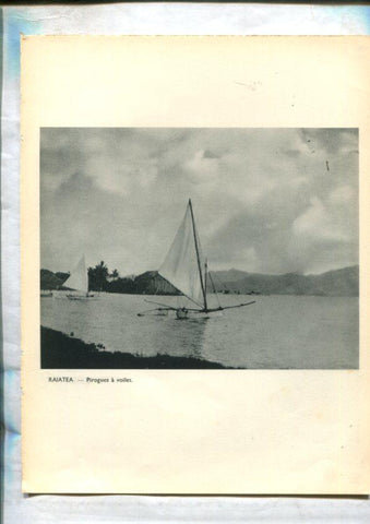 Tahiti: lamina 24: Rajatea: pirogues a voiles y pirogues et panorama de Tahaa