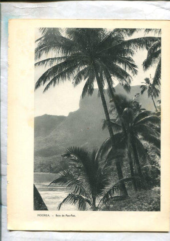 Tahiti: lamina 28: Moorea baie de Pao-Pao y Huhaine