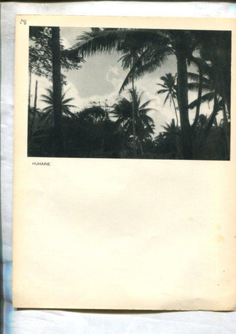 Tahiti: lamina 28: Moorea baie de Pao-Pao y Huhaine