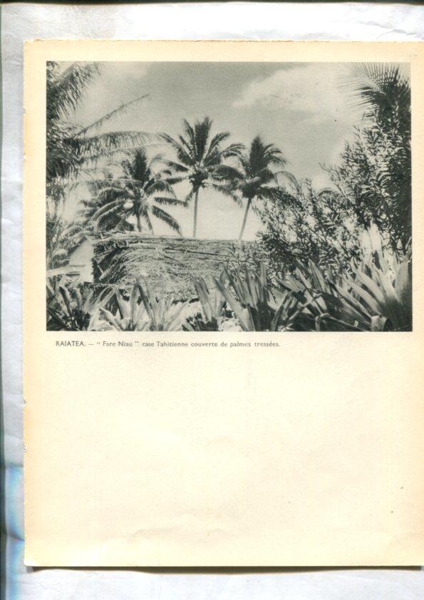 Tahiti: lamina 31: Rajate: Fare Niau y village de Fetuna