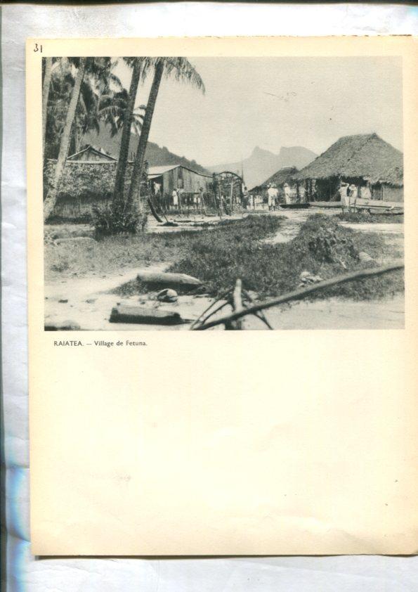 Tahiti: lamina 31: Rajate: Fare Niau y village de Fetuna