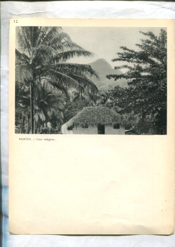 Tahiti: lamina 32: Fetuna y Rajatea: case indigene