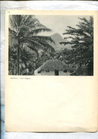 Tahiti: lamina 32: Fetuna y Rajatea: case indigene