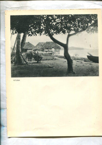 Tahiti: lamina 32: Fetuna y Rajatea: case indigene
