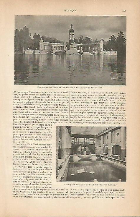 LAMINA ESPASA 7972: El estanque del Retiro Madrid