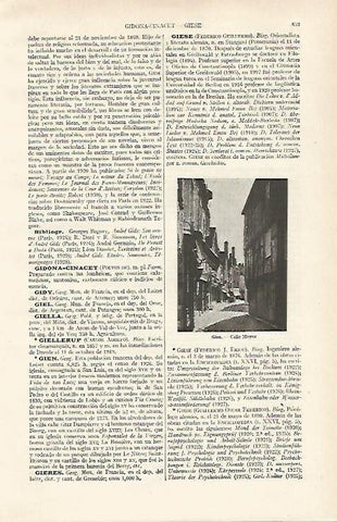 LAMINA ESPASA 16151: Calle Mayor de Gien Francia