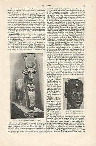 LAMINA ESPASA 18245: La vaca Hathor en el Museo del Cairo