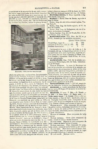 LAMINA ESPASA 18633: Patio de una casa en Manizales