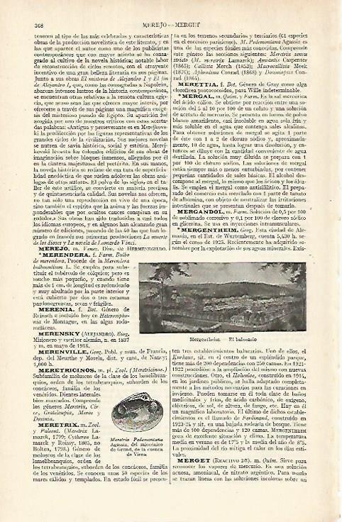 LAMINA ESPASA Alemania 17633: Balneario de Mergentheim Alemania
