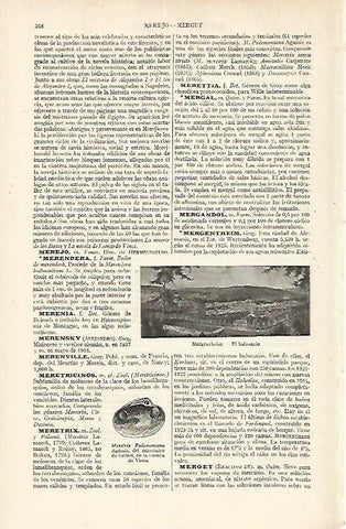 LAMINA ESPASA Alemania 17633: Balneario de Mergentheim Alemania