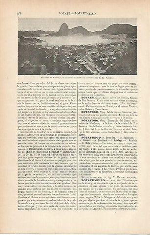 LAMINA ESPASA 11734: Ensenada de Botafogo Brasil