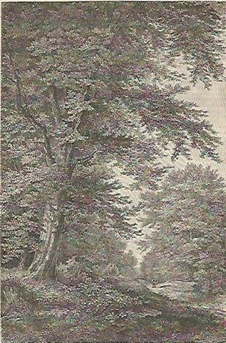 LAMINA ESPASA 4358: Carpe o Carpinus betulus