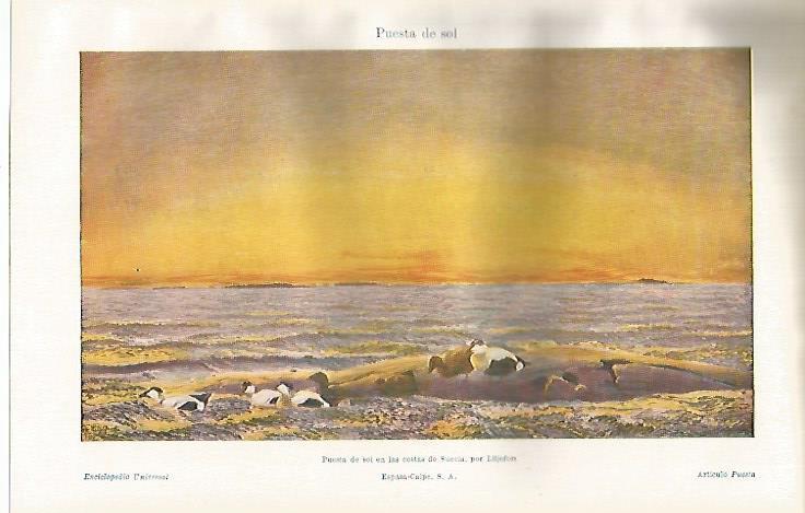 LAMINA ESPASA 23120: Puesta de sol en las costas de Suecia por Liljefors