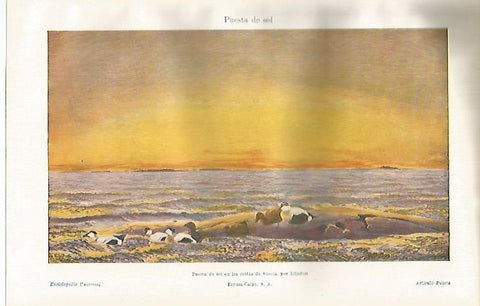 LAMINA ESPASA 23120: Puesta de sol en las costas de Suecia por Liljefors