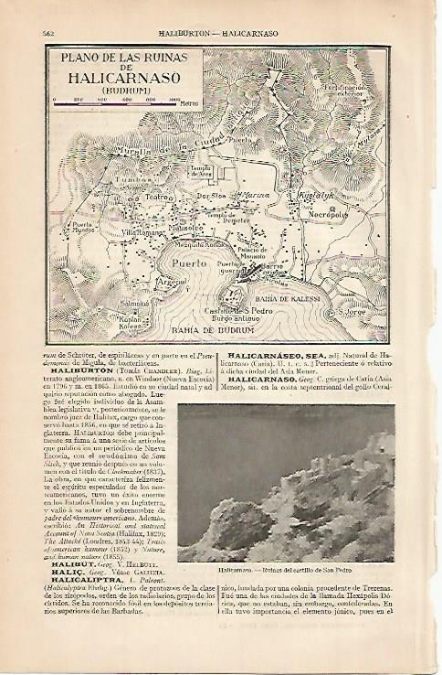 LAMINA ESPASA 550: Plano de las ruinas de Halicarnaso