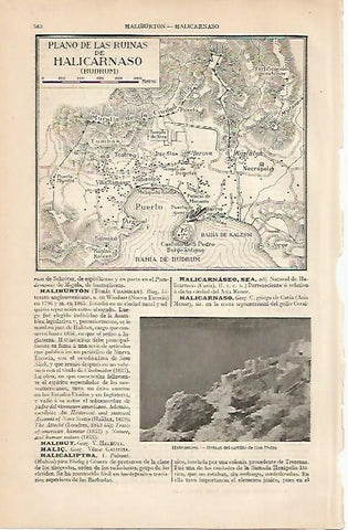 LAMINA ESPASA 550: Plano de las ruinas de Halicarnaso