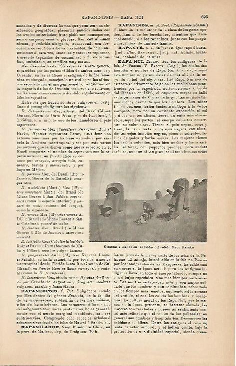 LAMINA ESPASA 5062: Estatuas de Rapa Nui