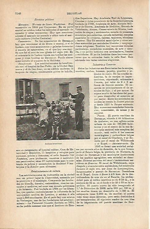 LAMINA ESPASA 11825: Lechera de Bruselas Belgica