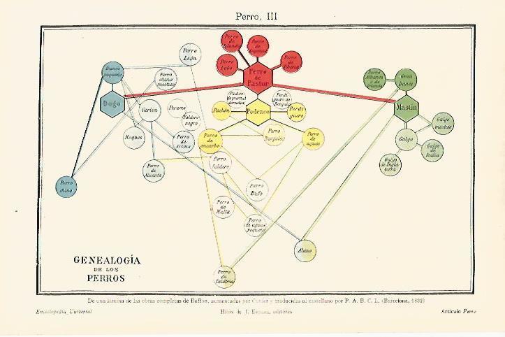 LAMINA ESPASA 18033: Genealogia de los perros