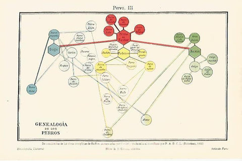 LAMINA ESPASA 18033: Genealogia de los perros