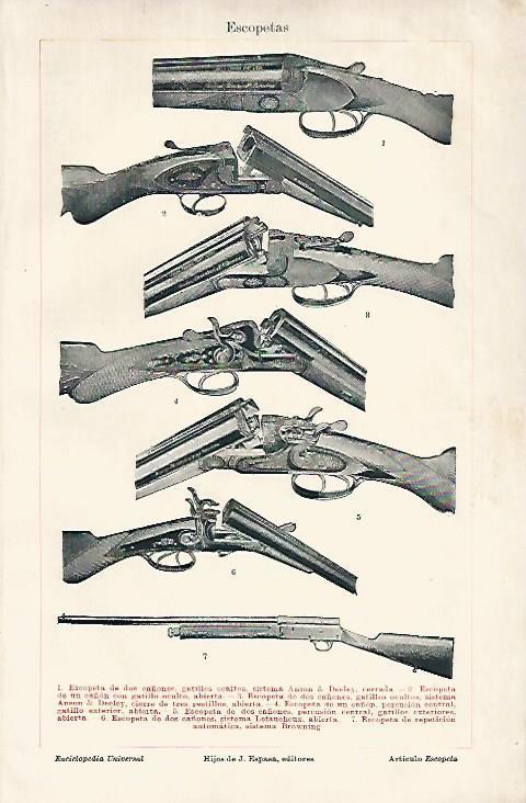 LAMINA ESPASA 18892: Tipos de escopeta