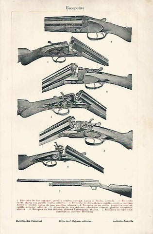 LAMINA ESPASA 18892: Tipos de escopeta