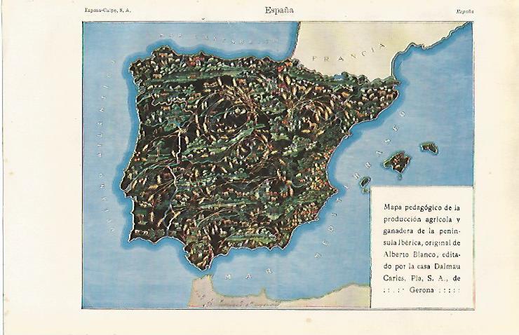 LAMINA ESPASA 20008: Mapa de España de la produccion agricola