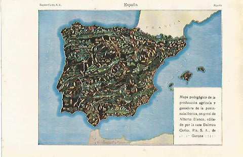 LAMINA ESPASA 20008: Mapa de España de la produccion agricola
