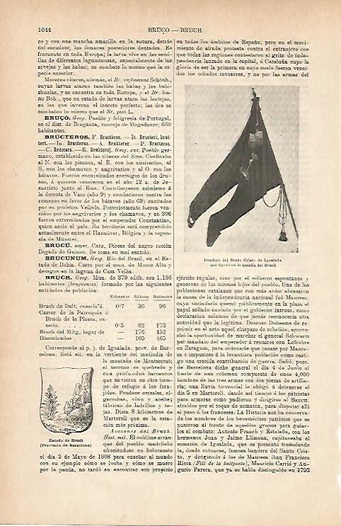 LAMINA ESPASA 11793: Bandeera del Santo Cristo de Igualada Barcelona