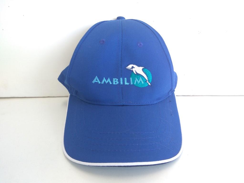 Gorra: GORRA PROMOCIONAL AMBILIM (Azul)