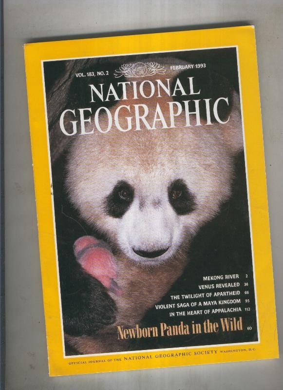 National geographic 1993 february: newborn panda in the wild 