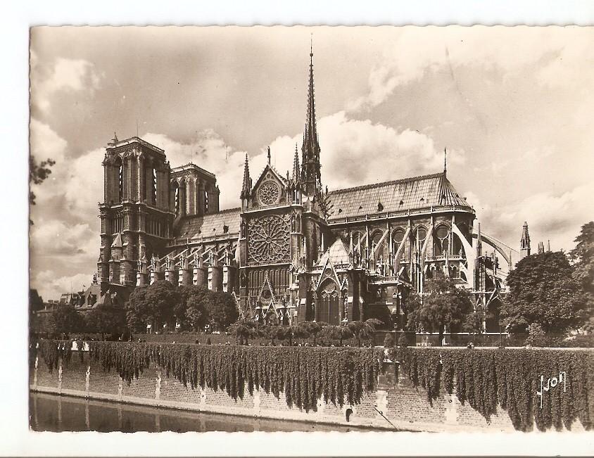 Postal 028323 : Paris en Flanant, Notre-Dame