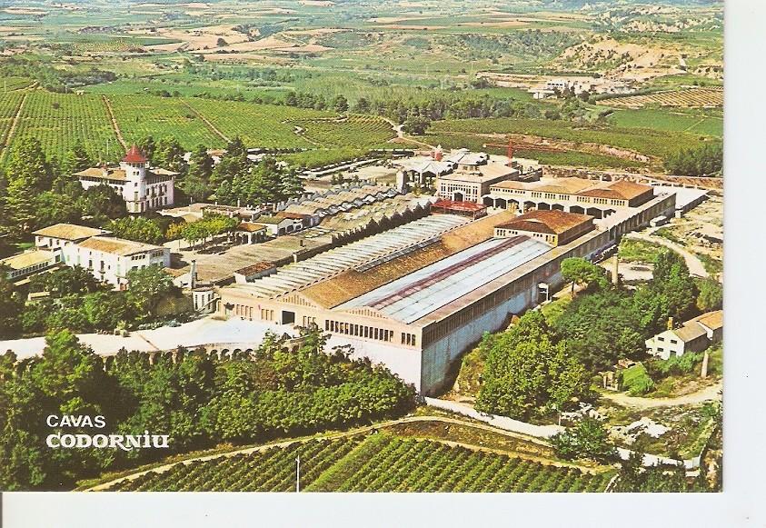 Postal 032353 : Cavas Codorniu. Exteriores