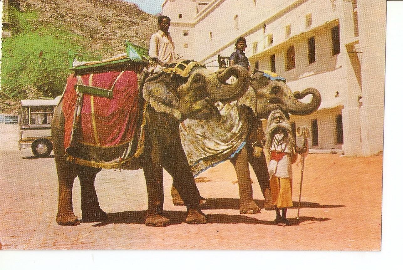 Postal 038659 : Elephant Jaipur