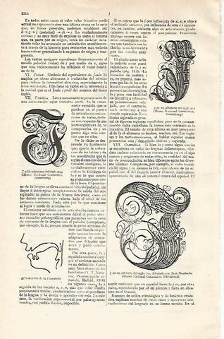 LAMINA ESPASA 20914: J gotica