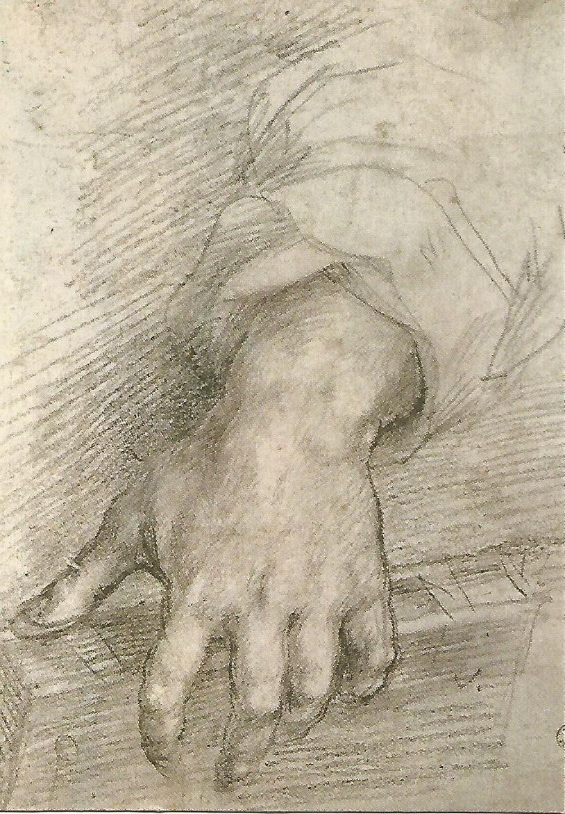 Postal 51351: ANDREA DEL SARTO - Mano femenina