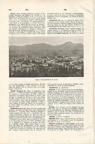 LAMINA SALVAT 80531: Vista general de Bejar