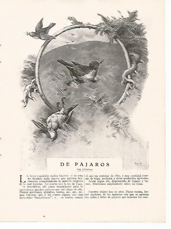 LAMINA BLANCO Y NEGRO 7504: Dibujo de Regidor