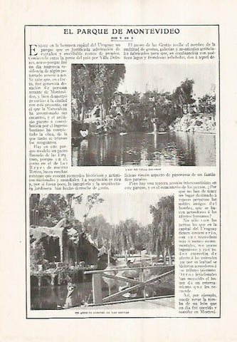 LAMINA BLANCO Y NEGRO 7565: Parque de Montevideo