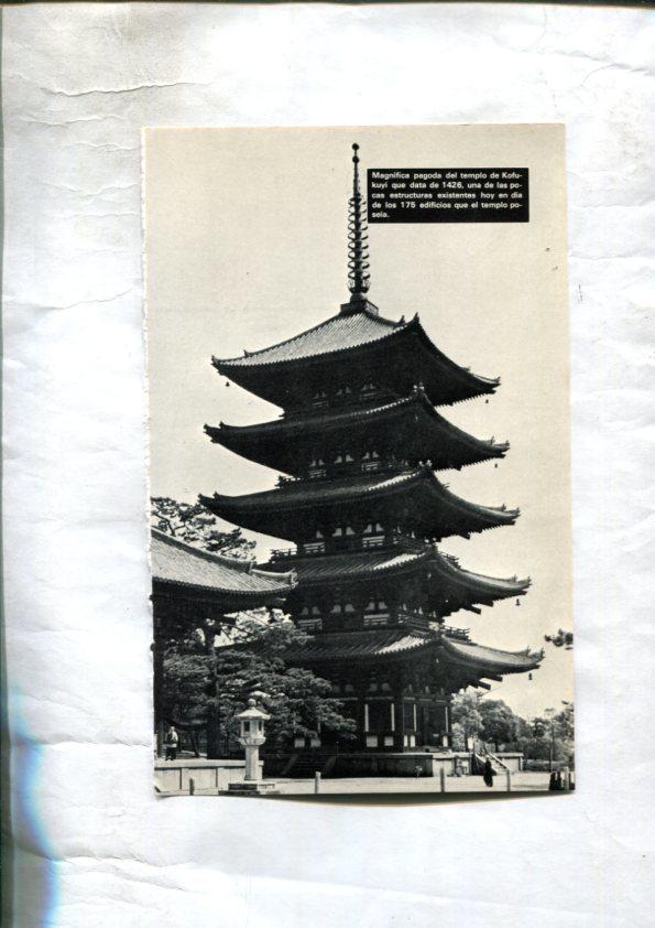 Foto: Pagoda del templo de Kofukuyi (Japon) y Elefantes en el rio Kandy en la India