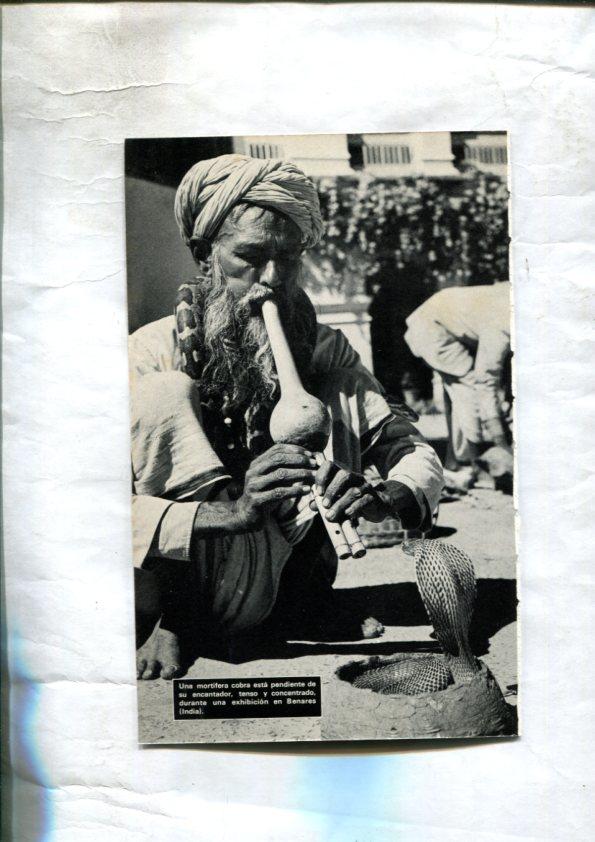 Foto: Jaulas colgantes con ostras (Japon) y Encantador serpientes en Benares (india)