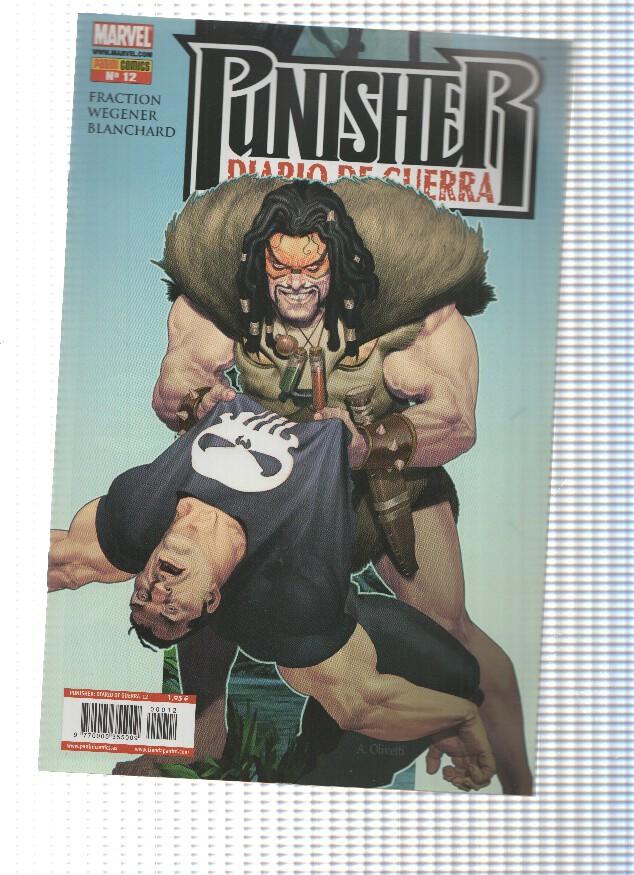 Punisher, Diario de tierra numero 12