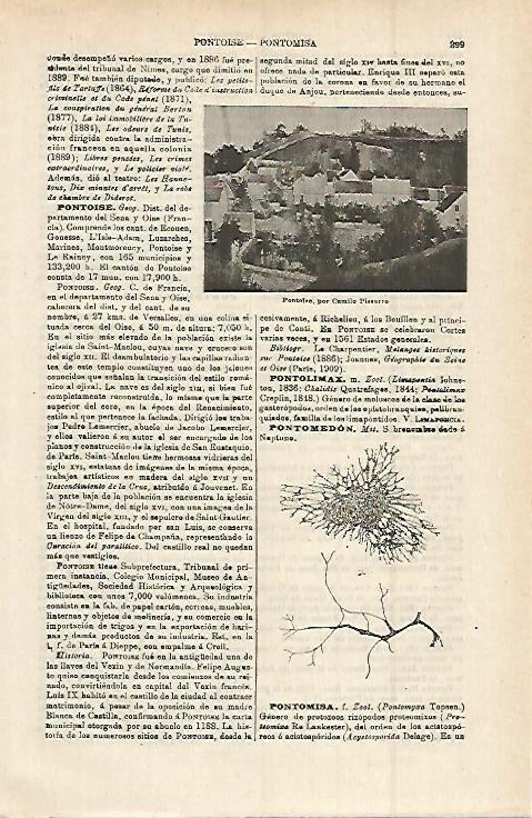 LAMINA ESPASA 15245: Pontoise por Pissarro