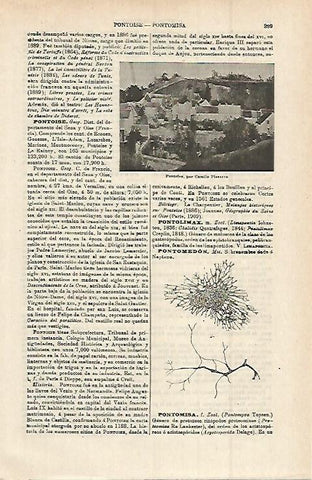 LAMINA ESPASA 15245: Pontoise por Pissarro