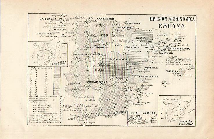 LAMINA ESPASA 15566: Division agronomica de España