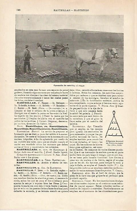 LAMINA ESPASA 15977: Rastrillar el campo